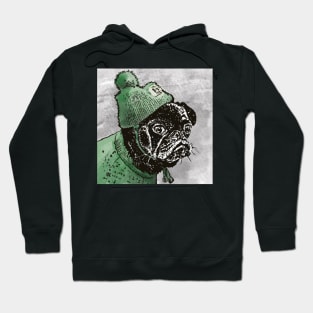 What the Pug? Grumpy  Pug in Green Woolly Hat and Jumper Hoodie